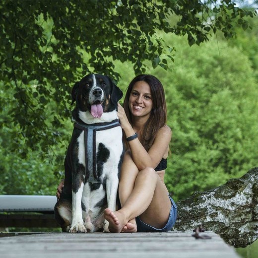 Urlaub mit Hund, © Dietmar Denger