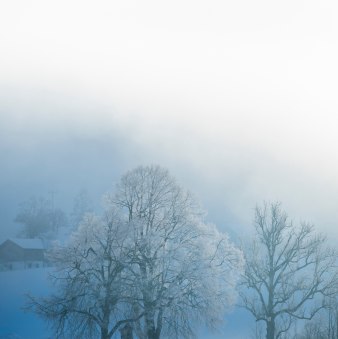 Lippmühlenrunde, © Alpenregion Tegernsee Schliersee