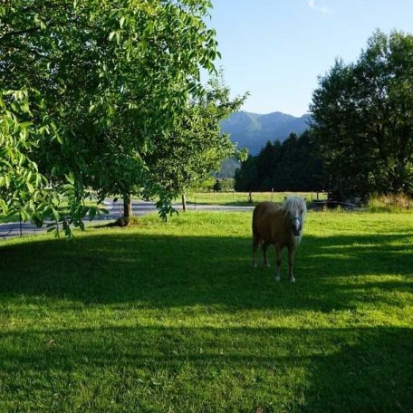 Ausblick, © im-web.de/ Touristinformation Fischbachau