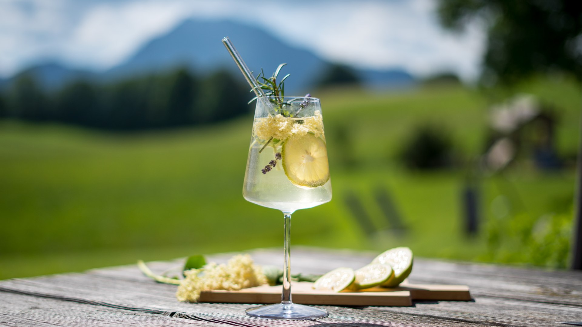 Holler-Kräuter-Spritz Holler-Kräuter-Spritz