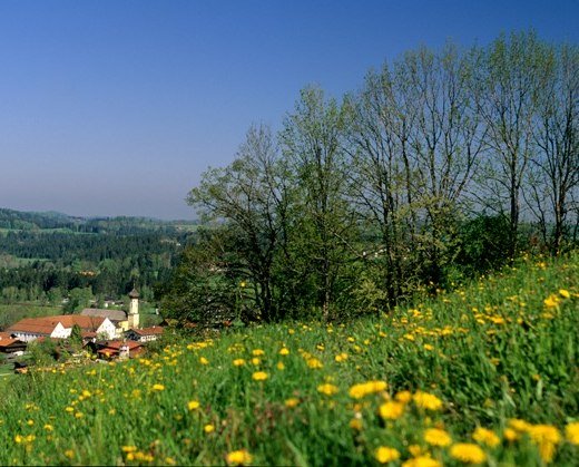 fischbachau-fruehlingalpenregion-0505-13