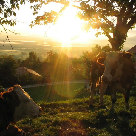 KoglHof, &copy; im-web.de/ Touristinformation Fischbachau