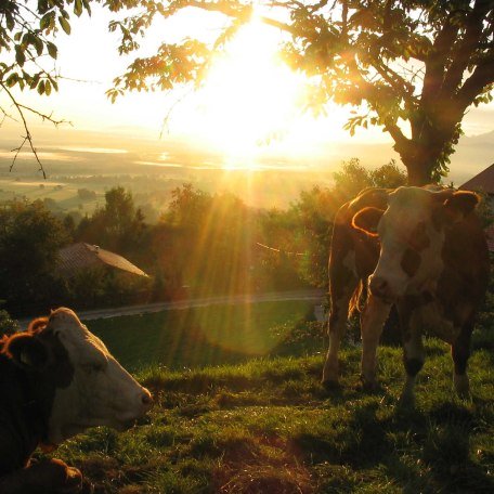 KoglHof, &copy; im-web.de/ Touristinformation Fischbachau