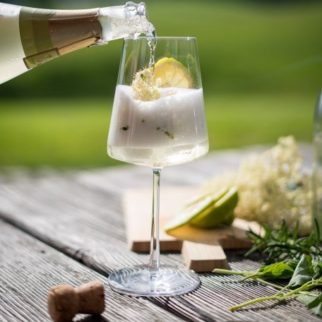 Holler-Kräuter-Spritz Holler-Kräuter-Spritz