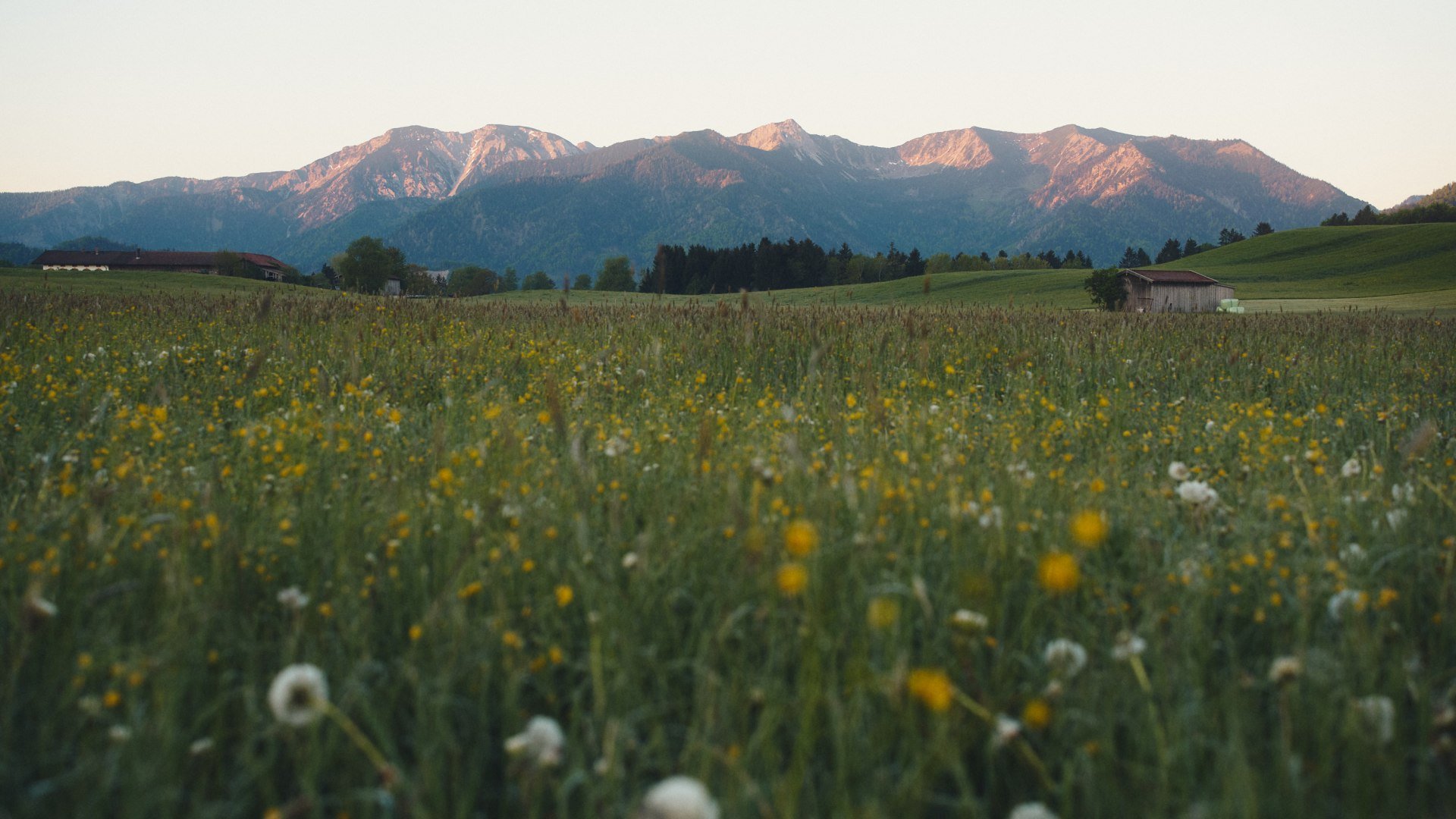 Fr&uuml;hling Leitzachtal