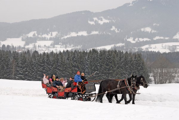 pferdeschlitten_1