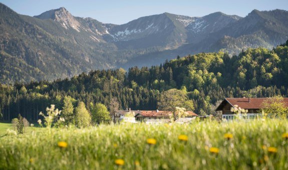 Blick auf Aiplspitz, © Alpenregion Tegernsee Schliersee Blick auf Aiplspitz, © Alpenregion Tegernsee Schliersee