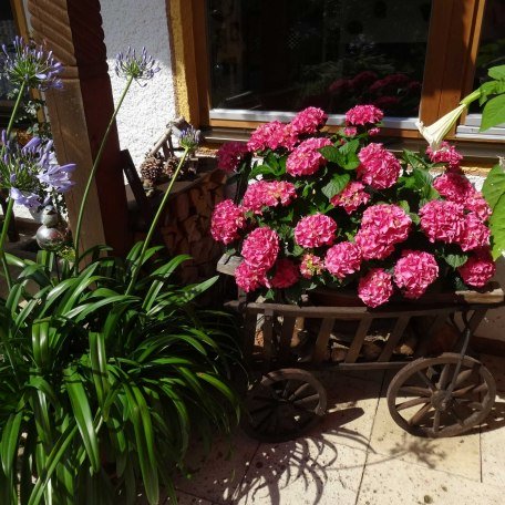 Au&szlig;enansicht, &copy; im-web.de/ Touristinformation Fischbachau