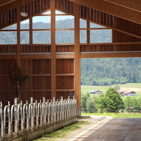 Hell und freundlich ist es f&uuml;r unsere K&uuml;he, &copy; im-web.de/ Touristinformation Fischbachau