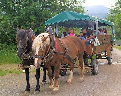 planenwagen_1 planenwagen_1