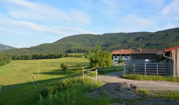 rossruck-tag-3-450 rossruck-tag-3-450