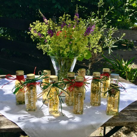 Streifzug durchs Kr&auml;uterjahr Bernlochner