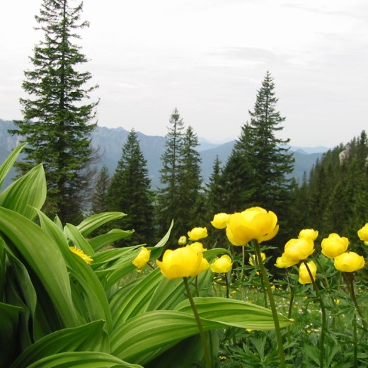 bilder-dialler-baerbel-058