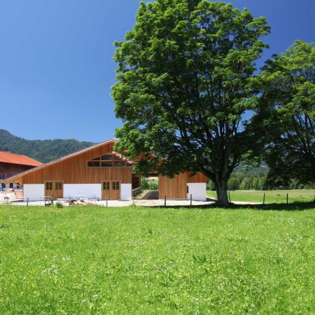 Nur das Beste/Neueste f&uuml;r unsere K&uuml;he, &copy; im-web.de/ Touristinformation Fischbachau