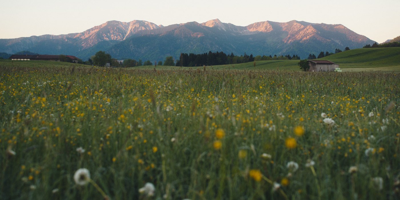 Fr&uuml;hling Leitzachtal
