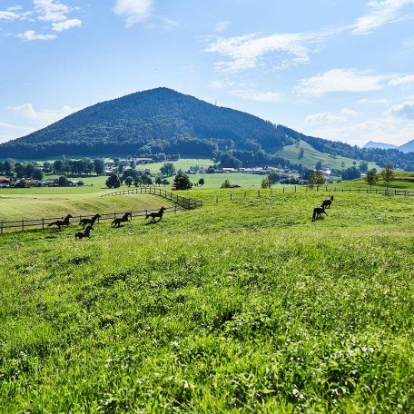 Umgebung, © im-web.de/ Touristinformation Fischbachau