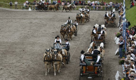 Vierspänner Quadrille
