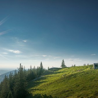 Baumgartenalm, &copy; Alpenregion Tegernsee Schliersee