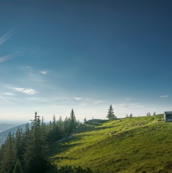 Baumgartenalm, © Alpenregion Tegernsee Schliersee