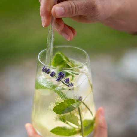 Holler-Kräuter-Spritz Holler-Kräuter-Spritz