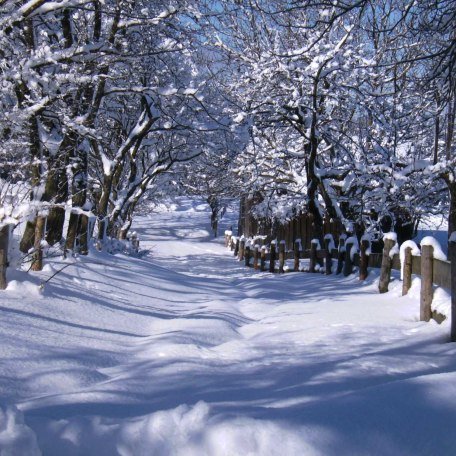 Umgebung, © im-web.de/ Touristinformation Fischbachau