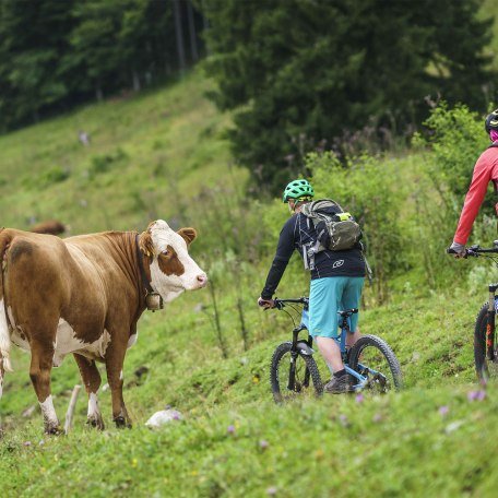 Mountainbike Voralpen Fischbachau, &copy; Dietmar Denger