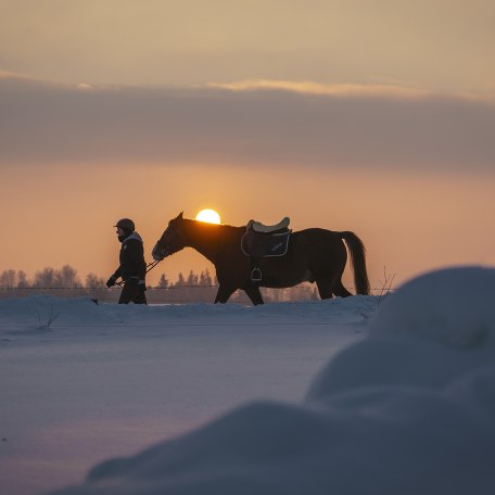 Reiten Fischbachau, © Dietmar Denger