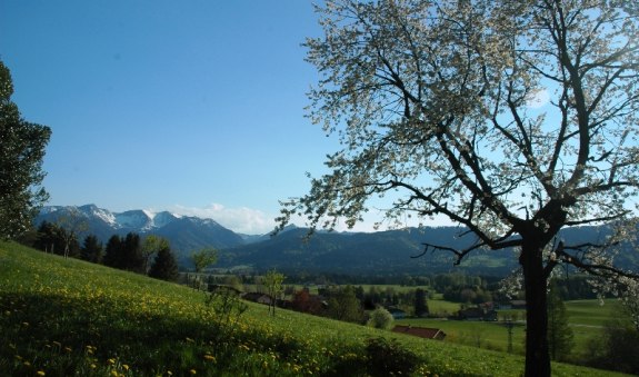 schwarzenberg schwarzenberg