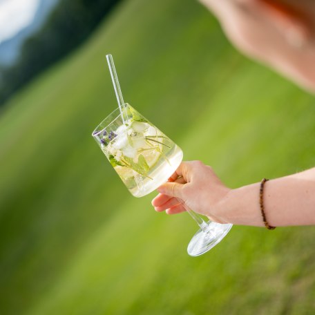 Holler-Kräuter-Spritz Holler-Kräuter-Spritz