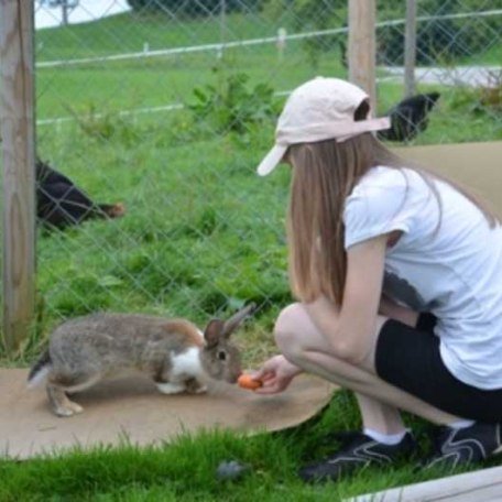 Die Hasen freuen sich auf Besuch!, © im-web.de/ Touristinformation Fischbachau