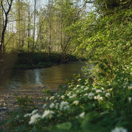 Holler- und Kr&auml;utertal, &copy; Matthis Waetzel