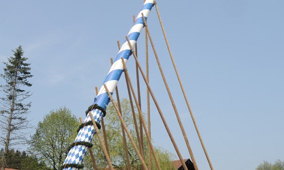 germany-0078-woernsmuehl-maibaum-20090501