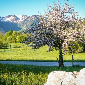 Von Aurach auf den Jägerkamp, © Alpenregion Tegernsee Schliersee