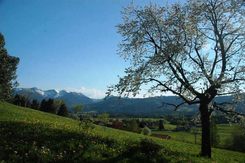 schwarzenberg schwarzenberg