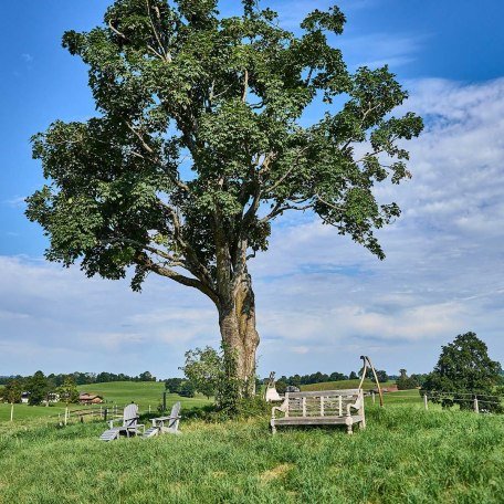 Umgebung, © im-web.de/ Touristinformation Fischbachau