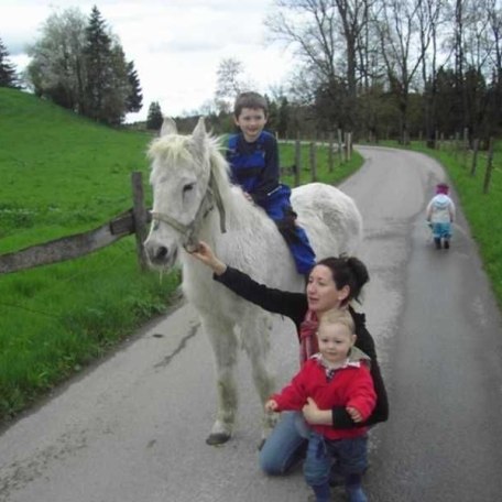 Hoftiere, &copy; im-web.de/ Touristinformation Fischbachau