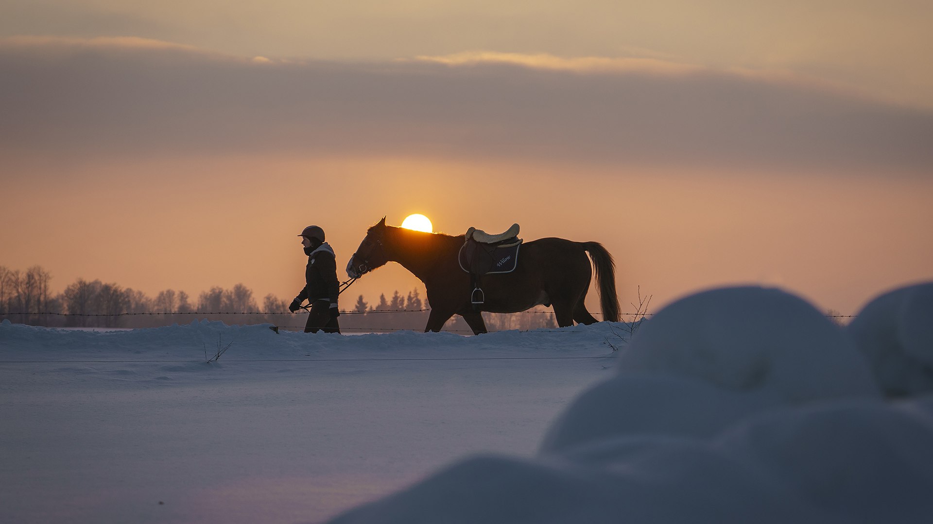 Reiten Fischbachau, © Dietmar Denger