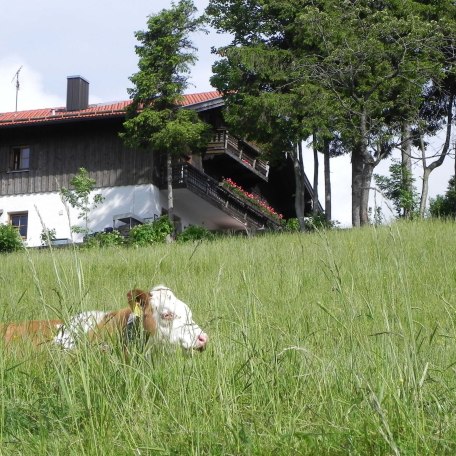 Garten, &copy; im-web.de/ Touristinformation Fischbachau
