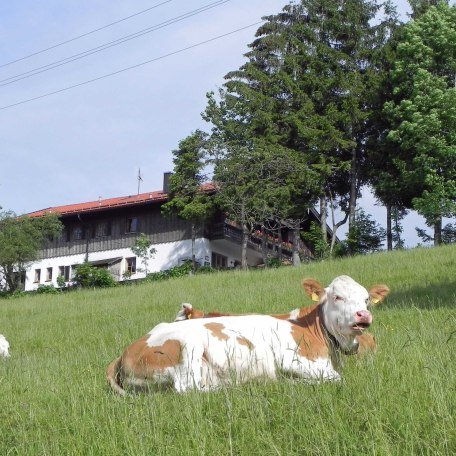 https://d1pgrp37iul3tg.cloudfront.net/objekt_pics/obj_full_71486_005.jpg, © im-web.de/ Touristinformation Fischbachau