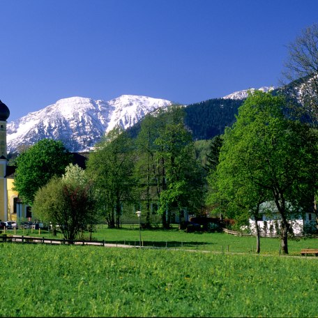 Klosterkirche St. Martin "Martinsmünster"