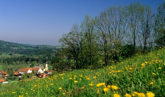 fischbachau-fruehlingalpenregion-0505-13