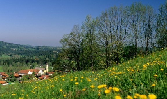 fischbachau-fruehlingalpenregion-0505-13