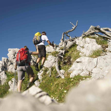 wandern-breitenstein-47 wandern-breitenstein-47