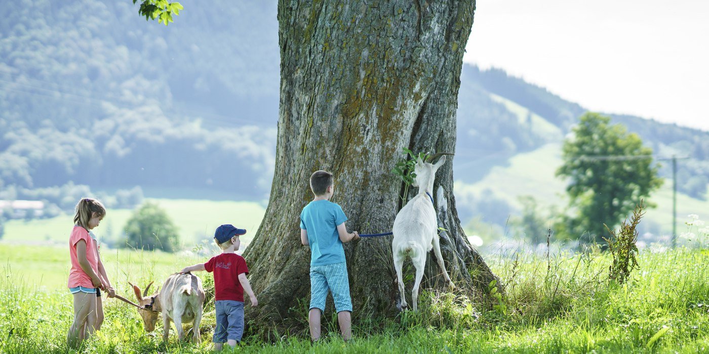 Urlaub mit Kindern Fischbachau, © Dietmar Denger