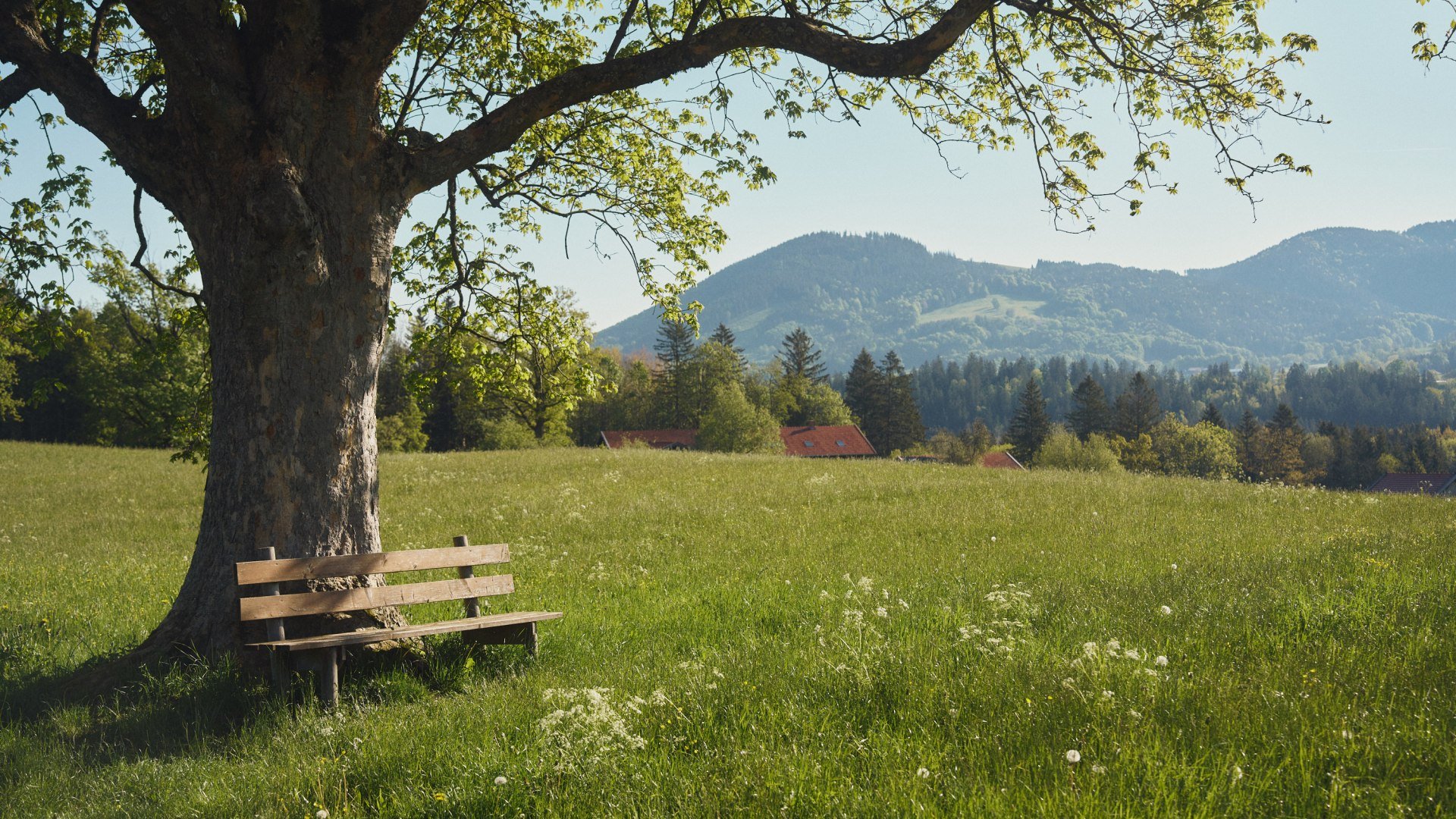 Fr&uuml;hling Leitzachtal