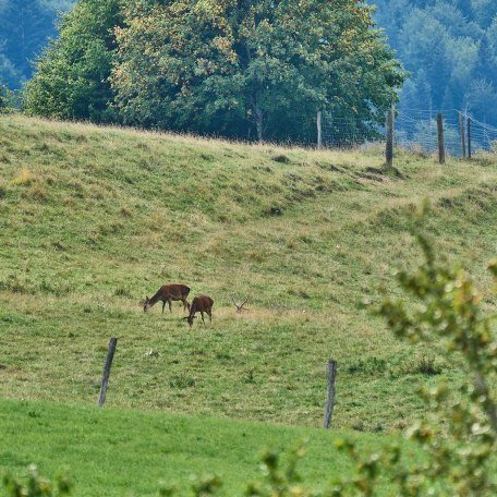 Umgebung, © im-web.de/ Touristinformation Fischbachau