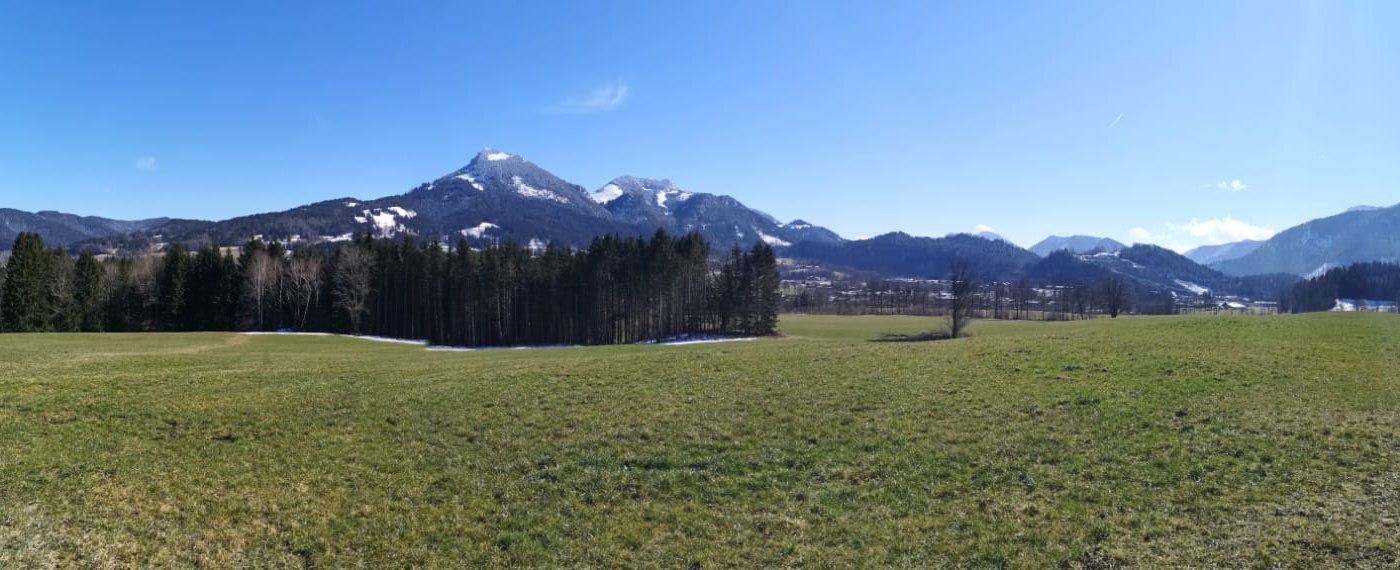 99c06907-fe35-4dbb-995f-dc4794434c68