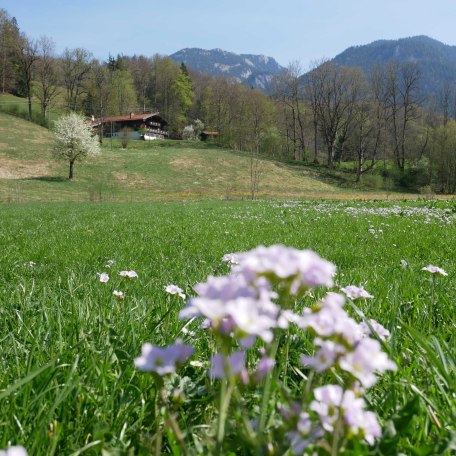 so frei liegt der Gmaiserhof in der Natur, © im-web.de/ Touristinformation Fischbachau