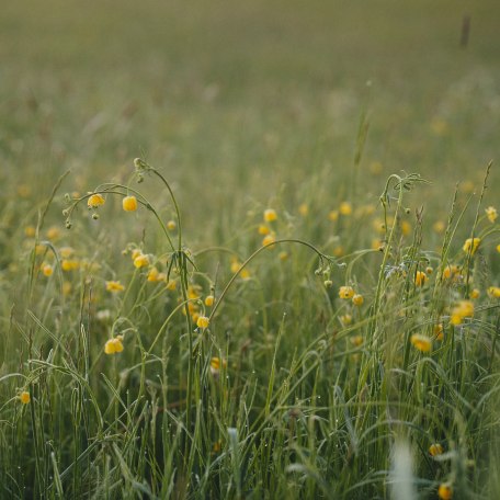 Holler- und Kr&auml;utertal, &copy; Matthis Waetzel