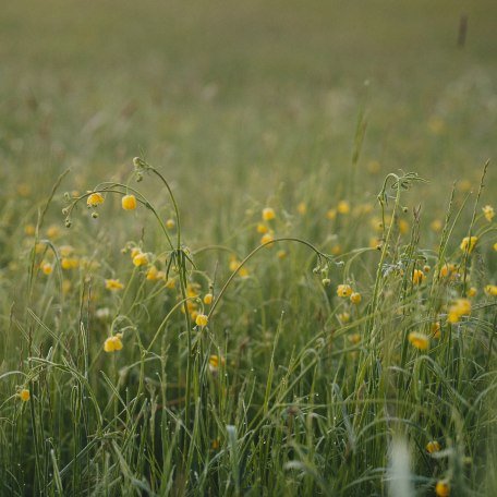 Holler- und Kr&auml;utertal, &copy; Matthis Waetzel